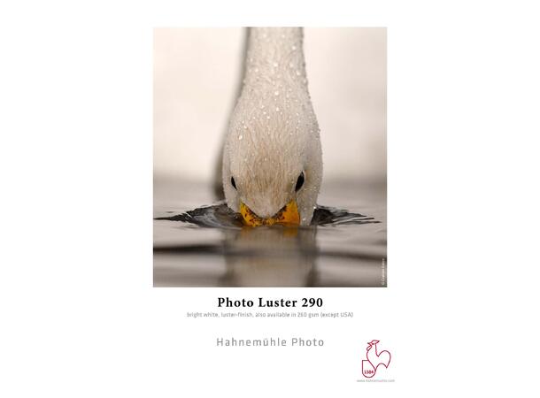 Hahnemühle Photo Luster 290g PE-paper, luster-finish 