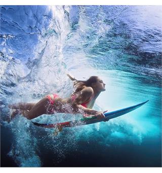 Rollup Film Basic SB 210mic