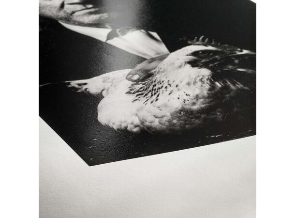 Hahnemühle Photo Rag Baryta 315g 100% Cotton, high-gloss 