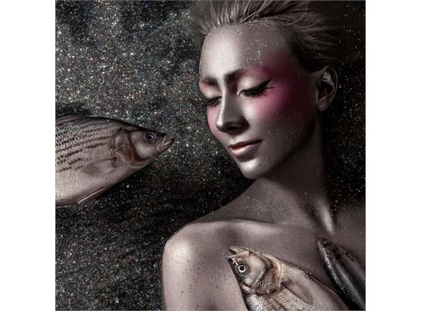 Hahnemühle Photo Rag Metallic 340g 100% Cotton, high-gloss metallic finish 