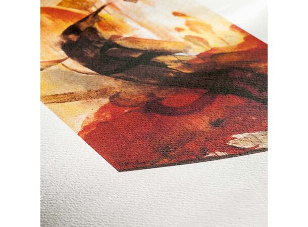 Hahnemühle Albrecht Dürer 210g 50% Cotton, 50% a-Cellulose, mould-made 