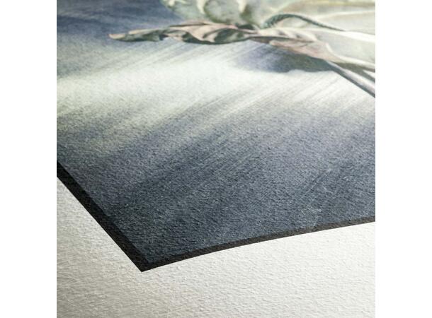 Hahnemühle German Etching 310g 100% a-Cellulose, white, mould-made 