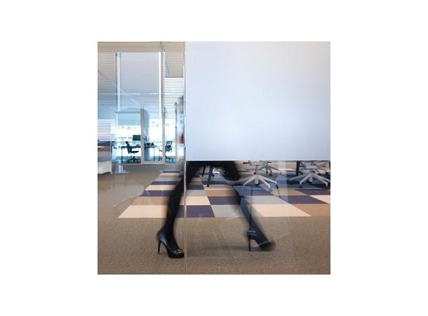 Avery Dusted Glass Easy Apply RS 1,37x50m 