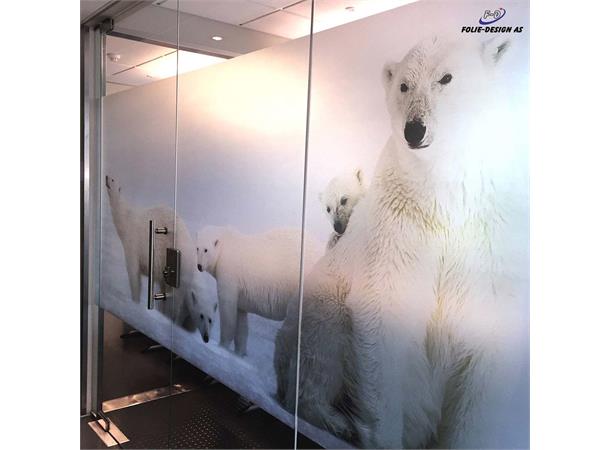Aslan DFL 302 PrintSilverEtched Dryapply 80mic 