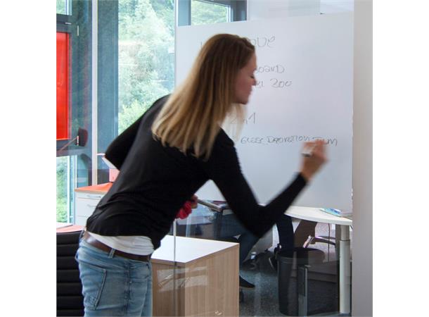Aslan EBL 300 Etchedboard Dryapply 80mic Frostet Whiteboard
