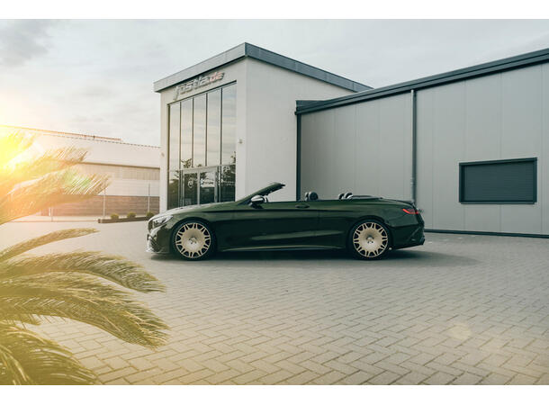 PWF Style CC4134 Olea Green 1,52x1m 