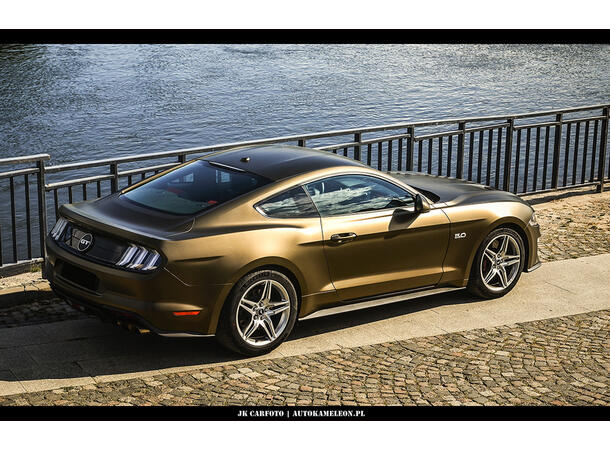 Platinum Wrapping Film (PWF) Style 