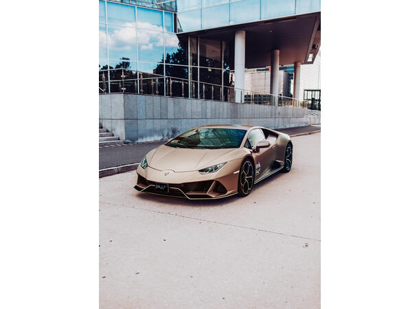 Platinum Wrapping Film (PWF) 