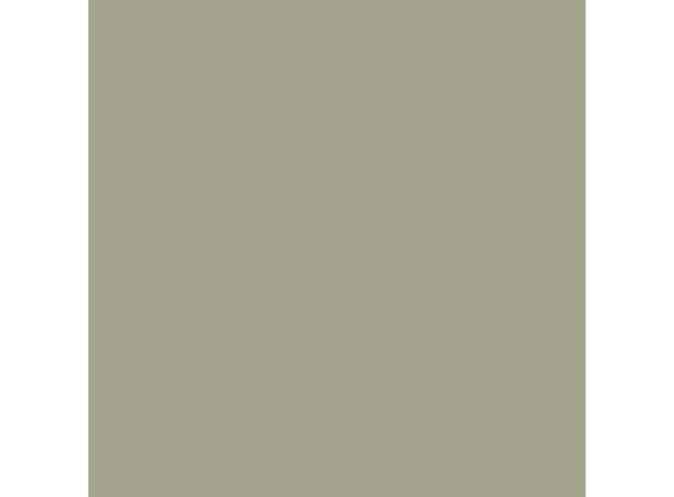 Cover Styl Color RM30  Pastel Olive Green  1,22x1m 