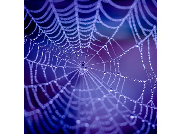 Kavalan Spiderweb mesh 300 Liner med liner 