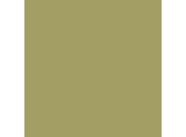 Cover Styl Color RM19  Olive Green  1,22x1m 