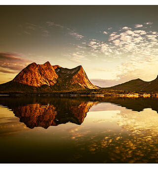 Powervinyl mono 100mic