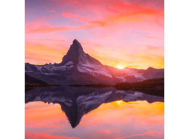 Powervinyl hybrid 80mic 