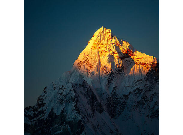 Powerlam hybrid 70mic 