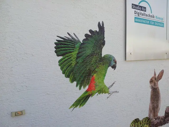 Aslan DFP 45 Wrap The House 80mic 11745DPE white, glossy 1,37x25m 