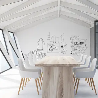 Aslan FF 490 FerroSoft Whiteboard 550mic 14012 white, matt 1,37x9m