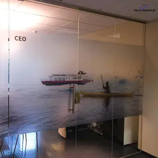 Aslan DFL 300 PrintEtched Dryapply 80mic