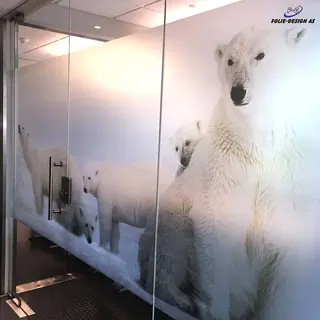 Aslan DFL 302 PrintSilverEtched Dryapply 80mic