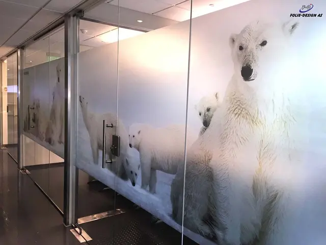 Aslan DFL 300 PrintEtched Dryapply 80mic 