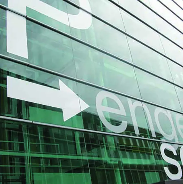 Aslan E 302 SilverEtched 80mic 