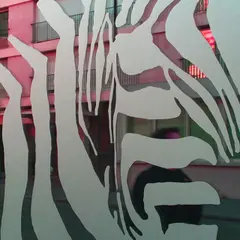 Aslan E 300 Etched 80mic