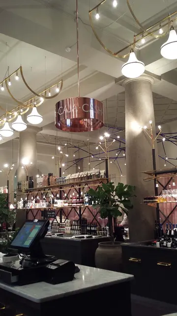 Aslan CA 23 MetalEffect 50mic 