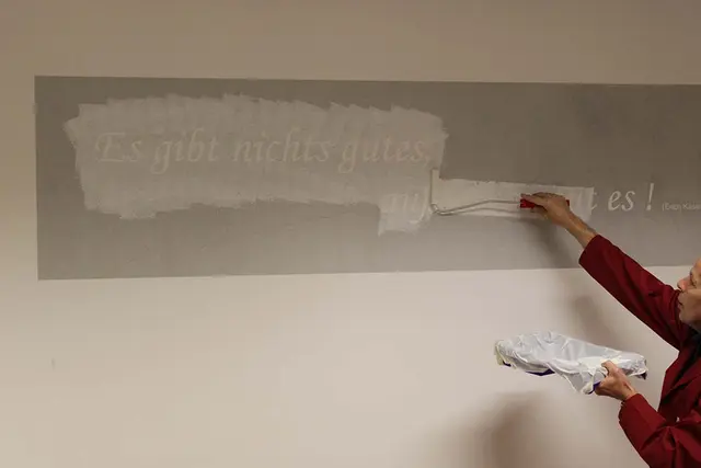 Aslan S 41 WallMask 80mic 11141K 1,25x50m 