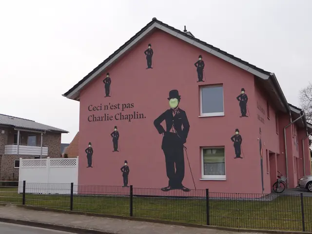 Aslan S 41 WallMask 80mic 11141K 1,25x50m 