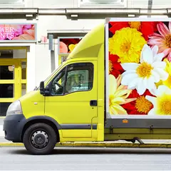 Avery MPI 2804 EA + DOL 2860 Pakkepris folie og laminat