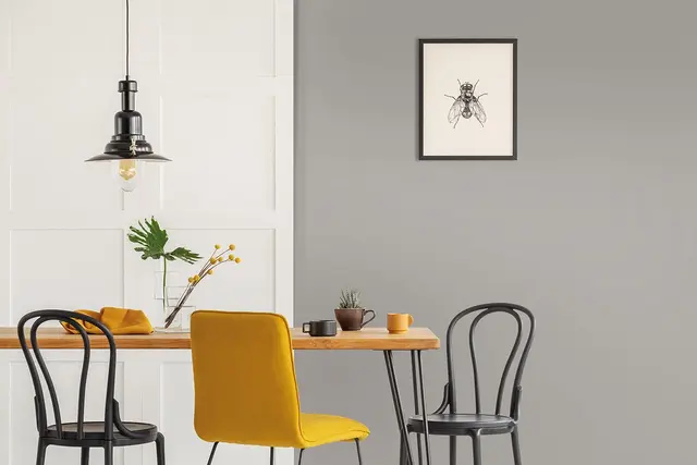 Cover Styl Color K7  Cream Grey  1,22x1m 