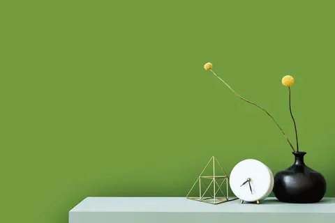 Cover Styl Color M5  Vibrant Green  1,22x1m