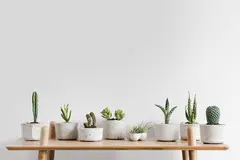 Cover Styl Color N3  Porcelain  1,22x1m