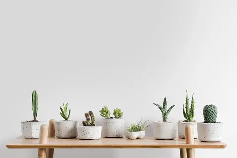 Cover Styl Color N3  Porcelain  1,22x1m