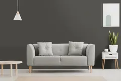 Cover Styl Color NE82  Fossil Grey  1,22x1m