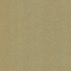 Cover Styl Glitter R19  Champagne  1,22x1m