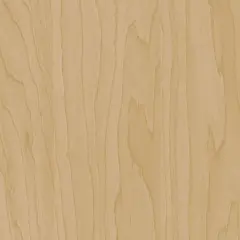 Cover Styl Wood CT20  Gold Beige Birch  1,22x1m