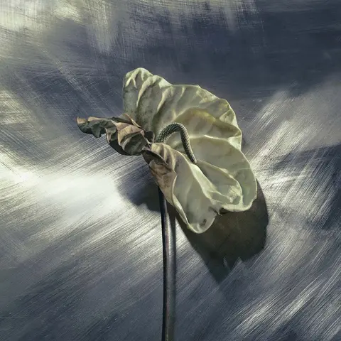 Hahnemühle German Etching 310g 100% a-Cellulose, white, mould-made