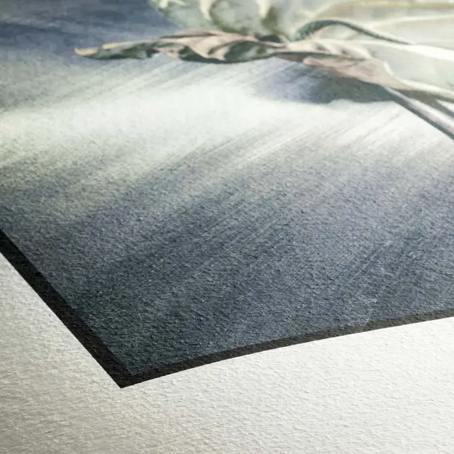 Hahnemühle German Etching 310g 100% a-Cellulose, white, mould-made 