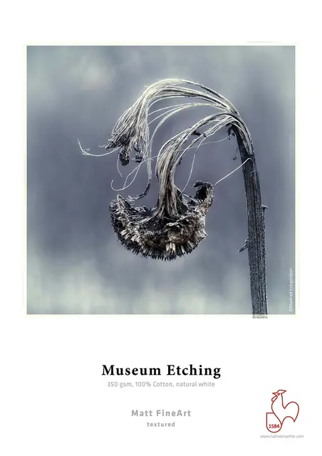 Hahnemühle Museum Etching 350g 100% Cotton 