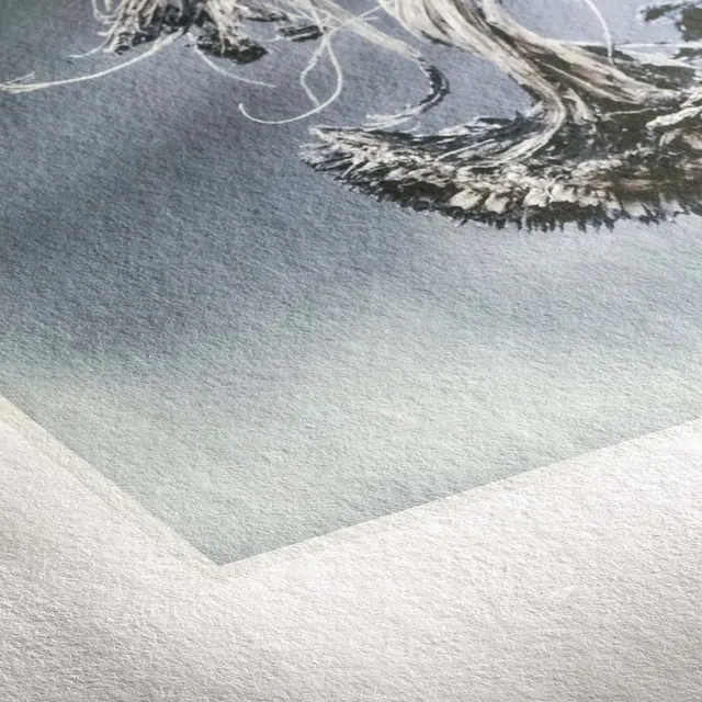 Hahnemühle Museum Etching 350g 100% Cotton 