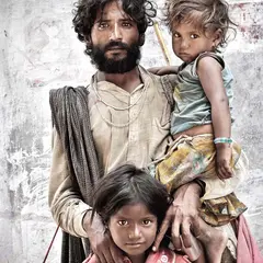 Hahnemühle William Turner 310g, 100% Cotton, mould-made