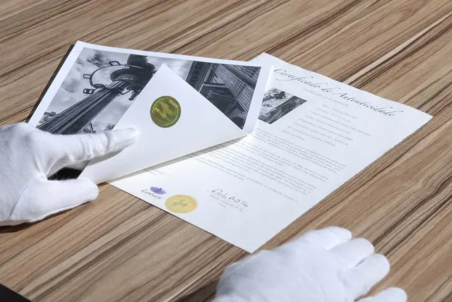 Hahnemühle Certificate of Authenticity A4 (25 ark) og 50 hologram 