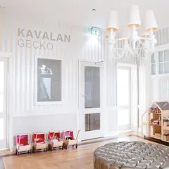 Kavalan Gecko FR GB 320g