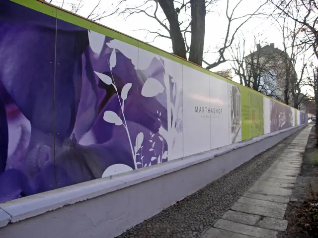 Mactac LUV 7036 antigraffiti 36mic 