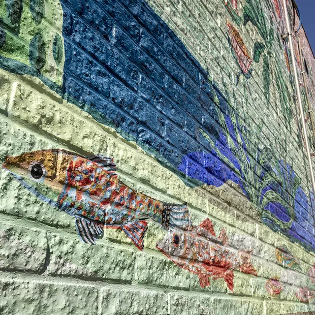 Mactac WW 319 PU Gloss Hitack Perm Grey 80mic 1,37x50m 