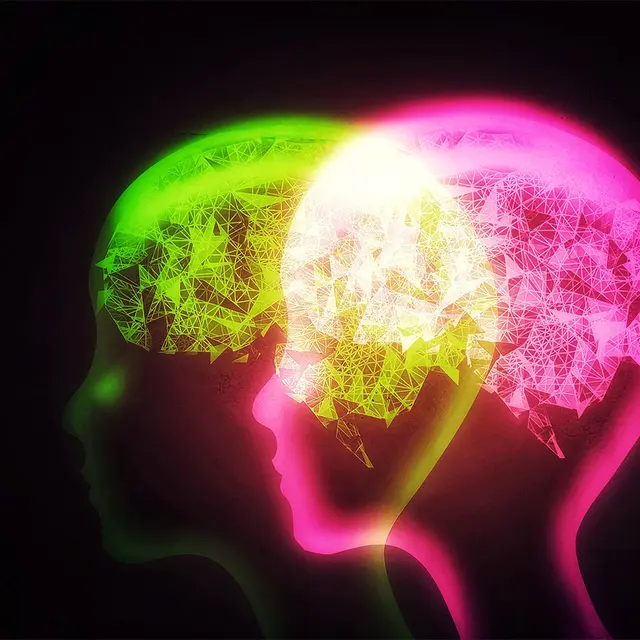 Neschen Window-Grip White Cling 125mic white matt 1,37x50m 