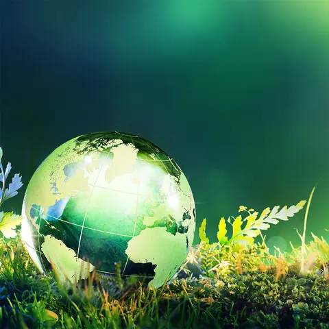 Neschen Easy Dot PET UV/LX 75mic