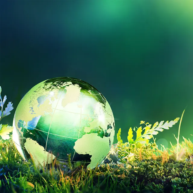 Neschen Easy Dot PET UV/LX 75mic 